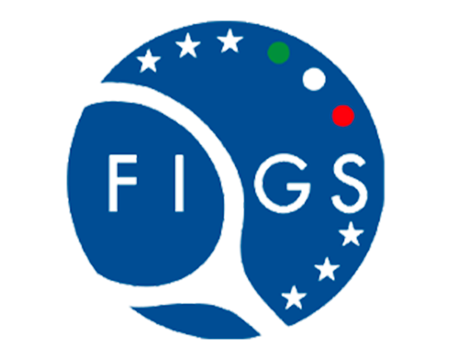 nuovo logo footer figs