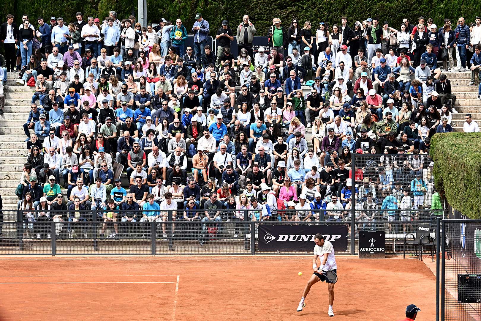 #IBI24 - Day 2